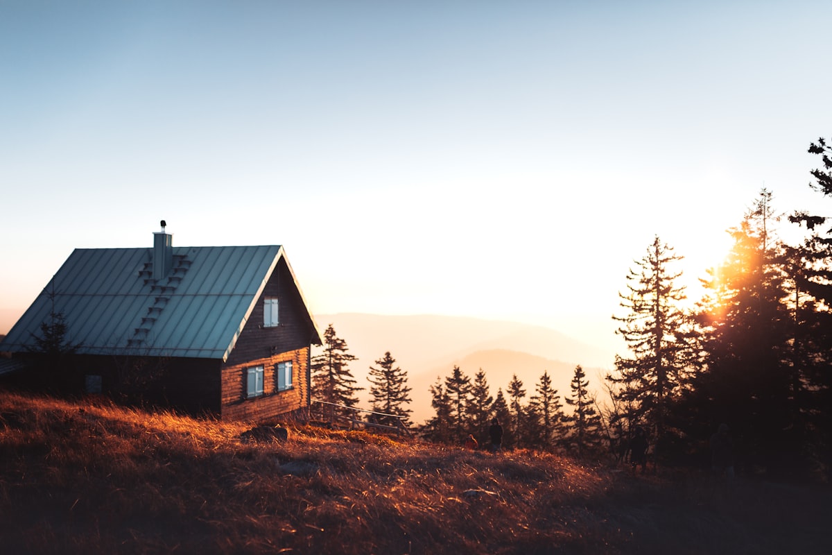 Log cabin being built from scratch in a forest clearing